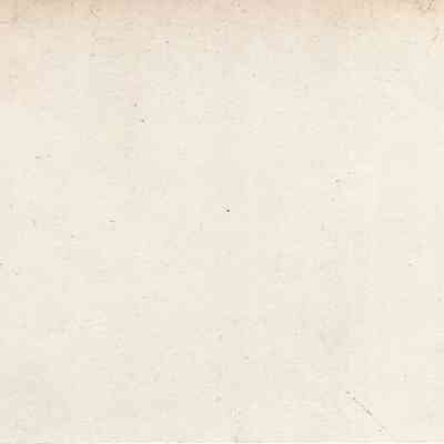 back of 2024.1032.141