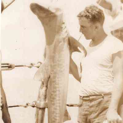 Shark caught in Haiti