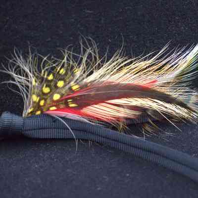 feather of 2025.1014.74