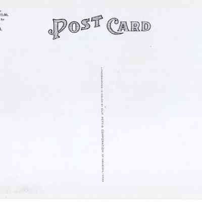 back of 2025.1029.11