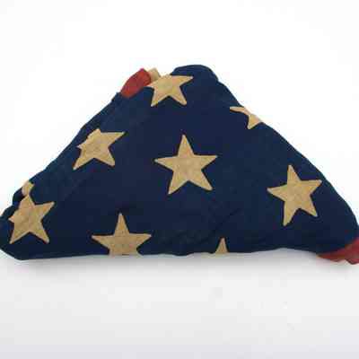 Lamson's American Flag