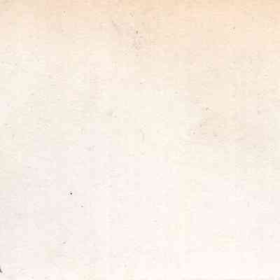 back of 2024.1032.254