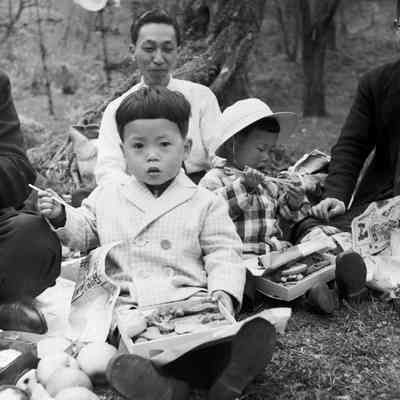 Japanese family having a picnic