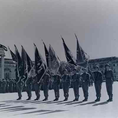 Soldiers with flags standing at attention