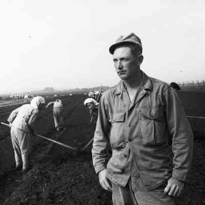 Soldier standing in front of a group of Japanese women working farm fields