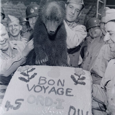 Bear with a "Bon Voyage" cake