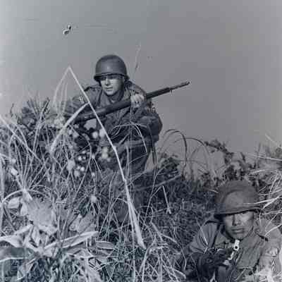 Soldiers training in tall grass