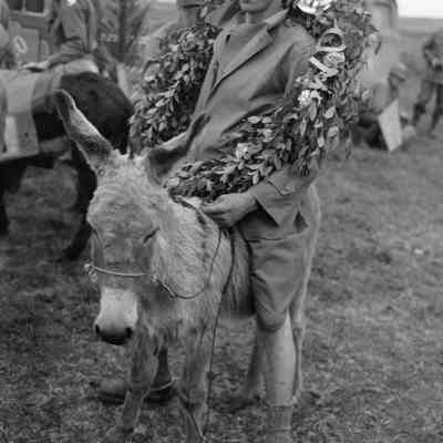 Soldier riding donkey