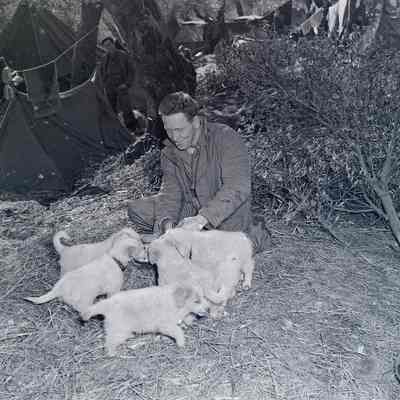 Soldier with puppies