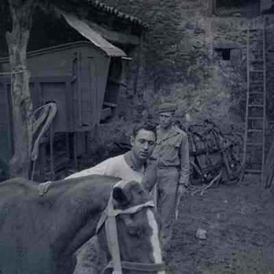 Soldiers with horse