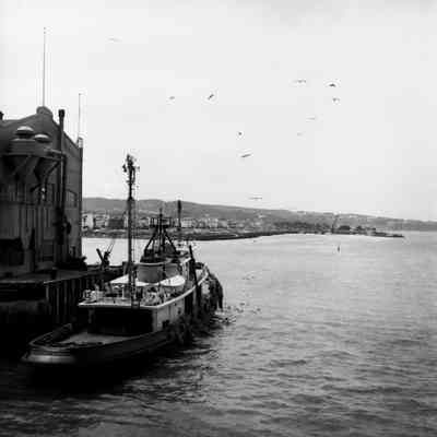 View of the harbor
