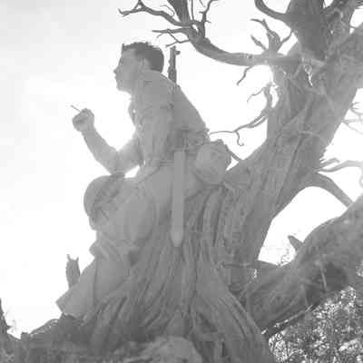 Soldier smoking a cigarette while resting against a gnarled tree