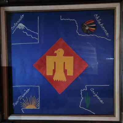 Woven Fabric Thunderbird