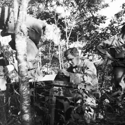 Clerk using typewriter on field table in a wooded area