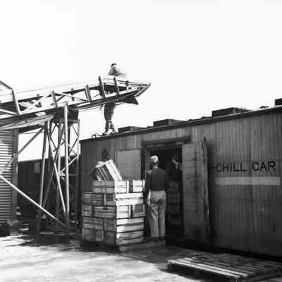 Workers loading railcar