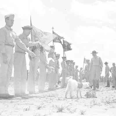 Soldiers lined up with unit guidons