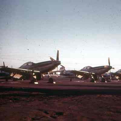 P-51 Mustangs lined up