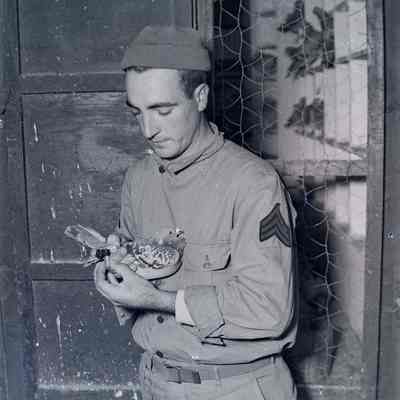 Soldier holding pigeon
