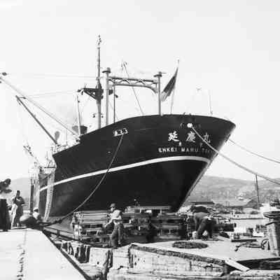 Enkei Maru cargo ship
