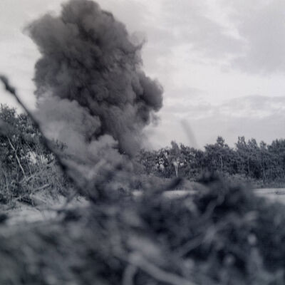 Explosion in a forest area