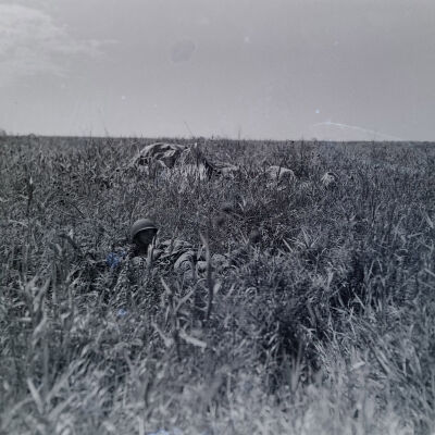 Paratroopers in landing zone