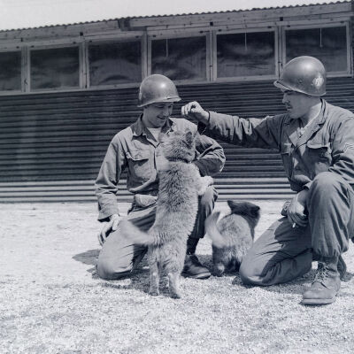 Two soldiers with puppies