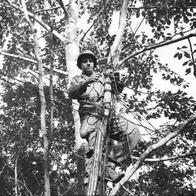 Soldier stringing commo wire in trees