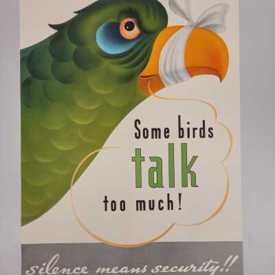 Some birds talk too much