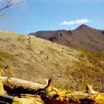 Soldiers advancing up a ridge