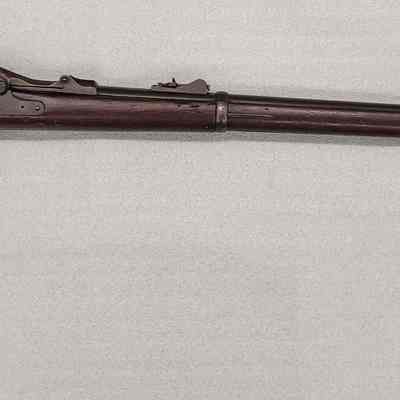 Springfield 1873