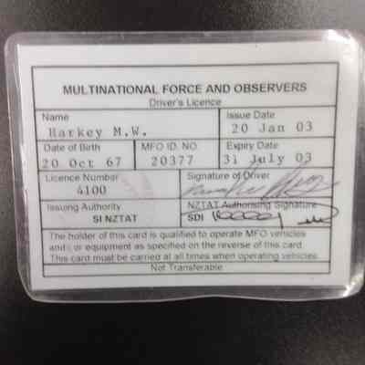 Driver's License