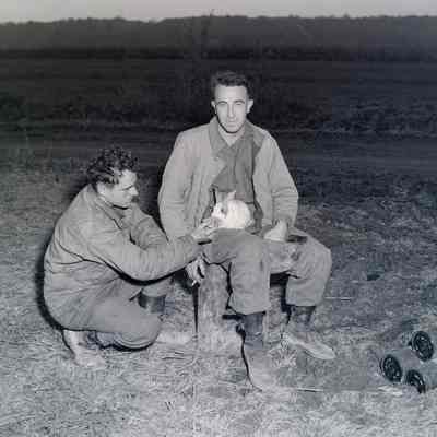 Soldiers feeding rabbit