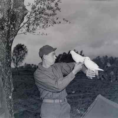 Soldier with pigeons on his arm