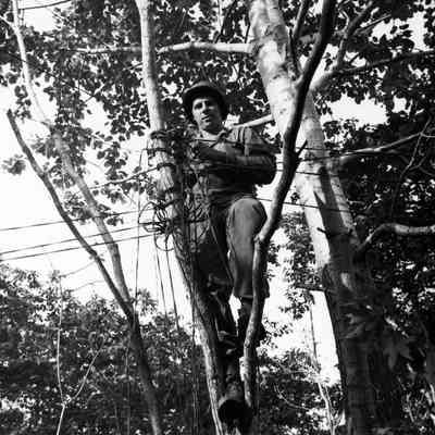 Soldier stringing commo wire in trees