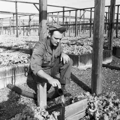 Soldier watering plants in a greenhouse
