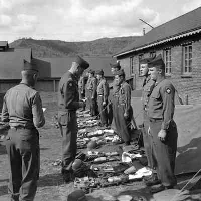 Inspection
