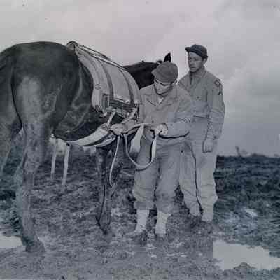 Soldiers checking harness on a horse