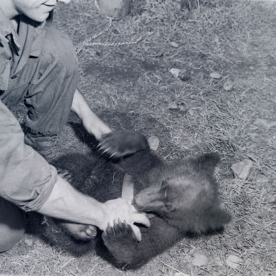 Soldiers playing with the bear cub