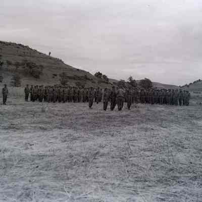 Soldiers standing at attention