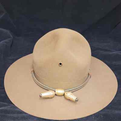 Campaign Hat