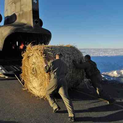 Soldiers load Hay Bale into Chinook Helicopter