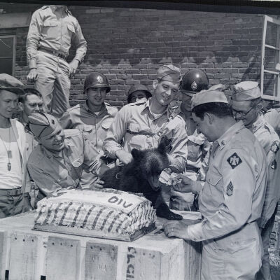 Soldiers with a bear cub and cake