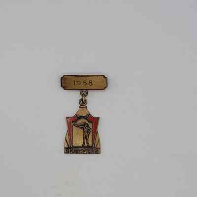 Badge for Rifle/Pistol Match