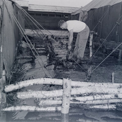 Soldier replacing tent stakes in a flooded camp area