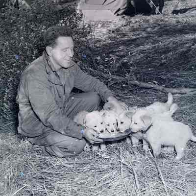 Soldier with puppies