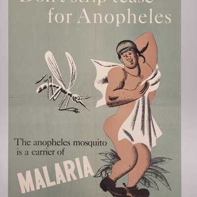Don't Strip tease for Anopheles