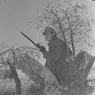 Soldier crouching behind tree stump holding rifle with bayonet