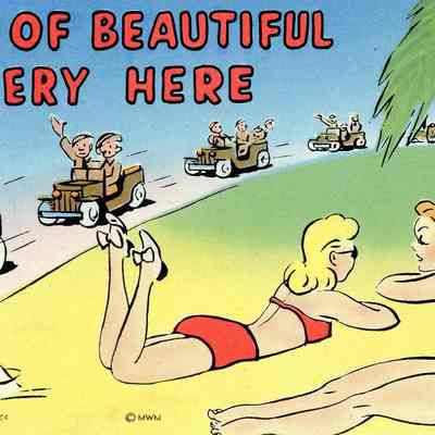 Army Life Cartoon Postcard