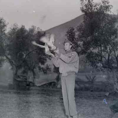 Solider releasing pigeons