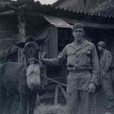 Soldiers with mule